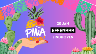 PIÑA header