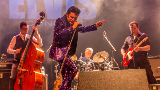 elvis concert header