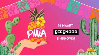 PIÑA header